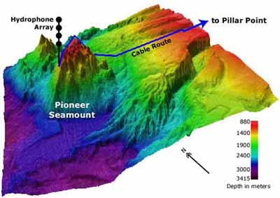 Seamount summit near Guam with red and green algae, soft corals and topical fish. NOAA