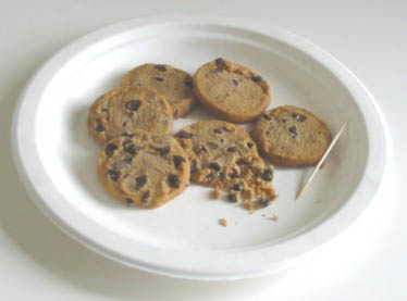 Fun science activities, Cookie Dig, Photo by Myrna Martin